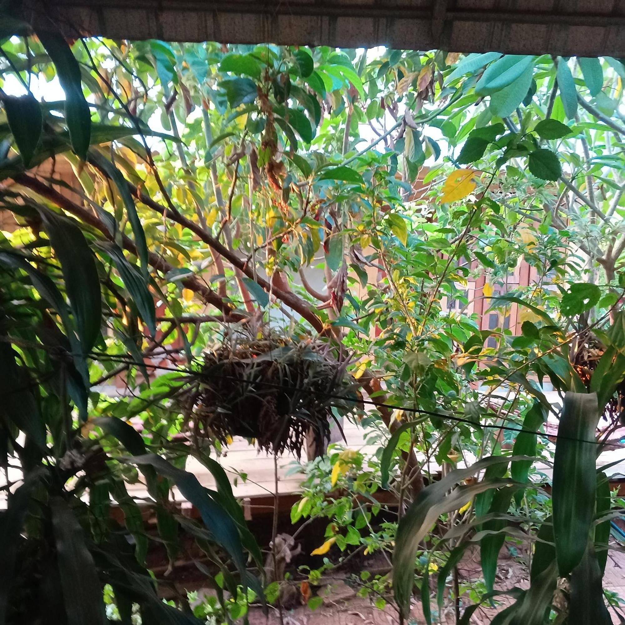 Ferienwohnung Familyhouse & Trekking Banlung Exterior foto